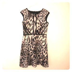 Leopard print knee length dress